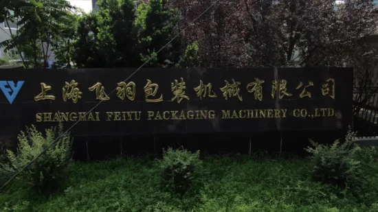 Shanghai Feiyu Machinery의 자동 나사, 못, 패스너, 포장, 상자, 포장, 포장 장비